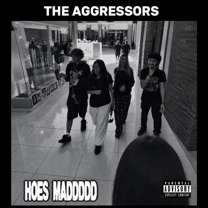 THE AGGRESSORS - HOES MADDDDD album cover