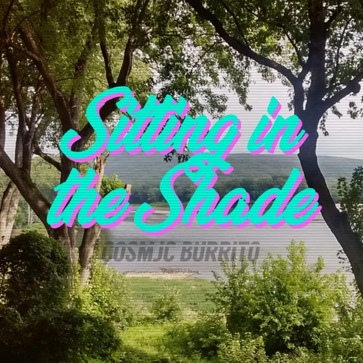 Cosmjc Burrito - Sitting In The Shade album cover