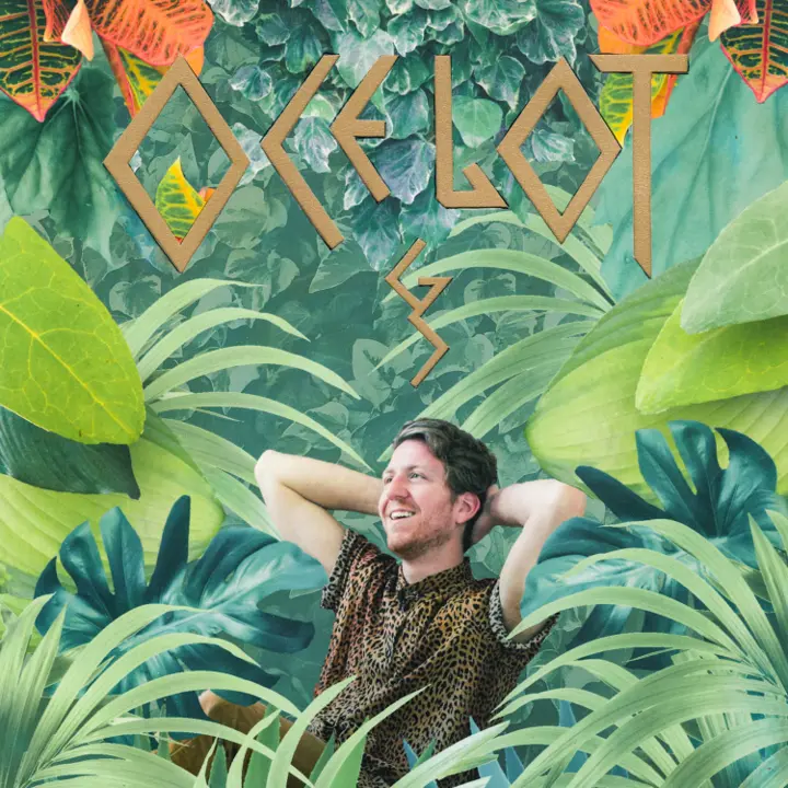 Ocelot by Caleb Groh — album cover